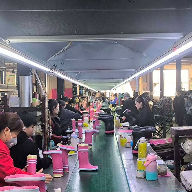 Best Waterproof Dog Walking Boots and Wellies manufacturer in China