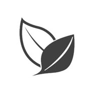 Environment