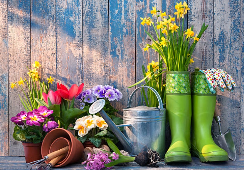Gardening Boots 1